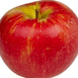 Meet your Posher, Teresa